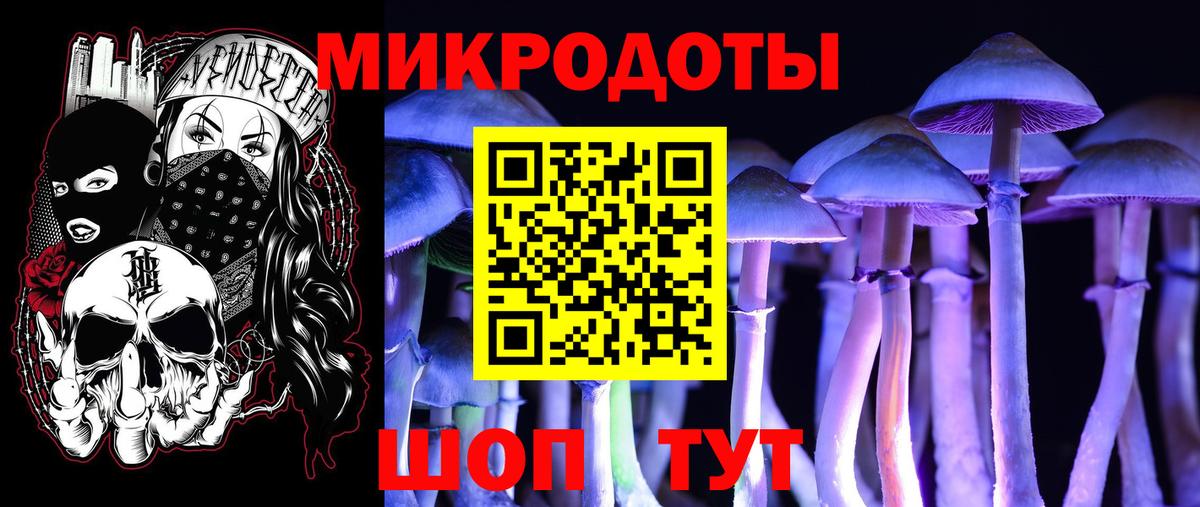Псилоцибиновые грибы прущие грибы  Вход с VPN  Карпинск  Галлюциногенные грибы GOLDEN TEACHER 