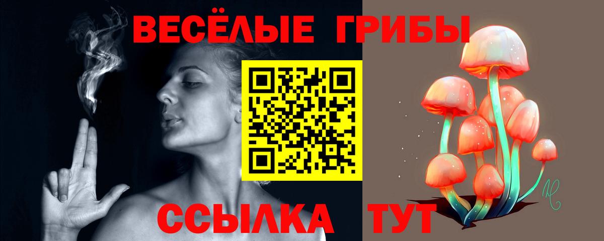 Галлюциногенные грибы Psilocybe Карпинск