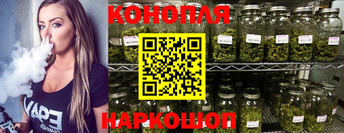 Каннабис планчик Карпинск